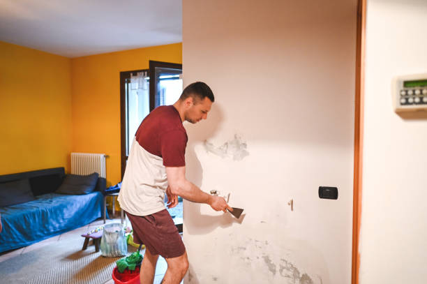 Northlake, TX Mold Removal Company